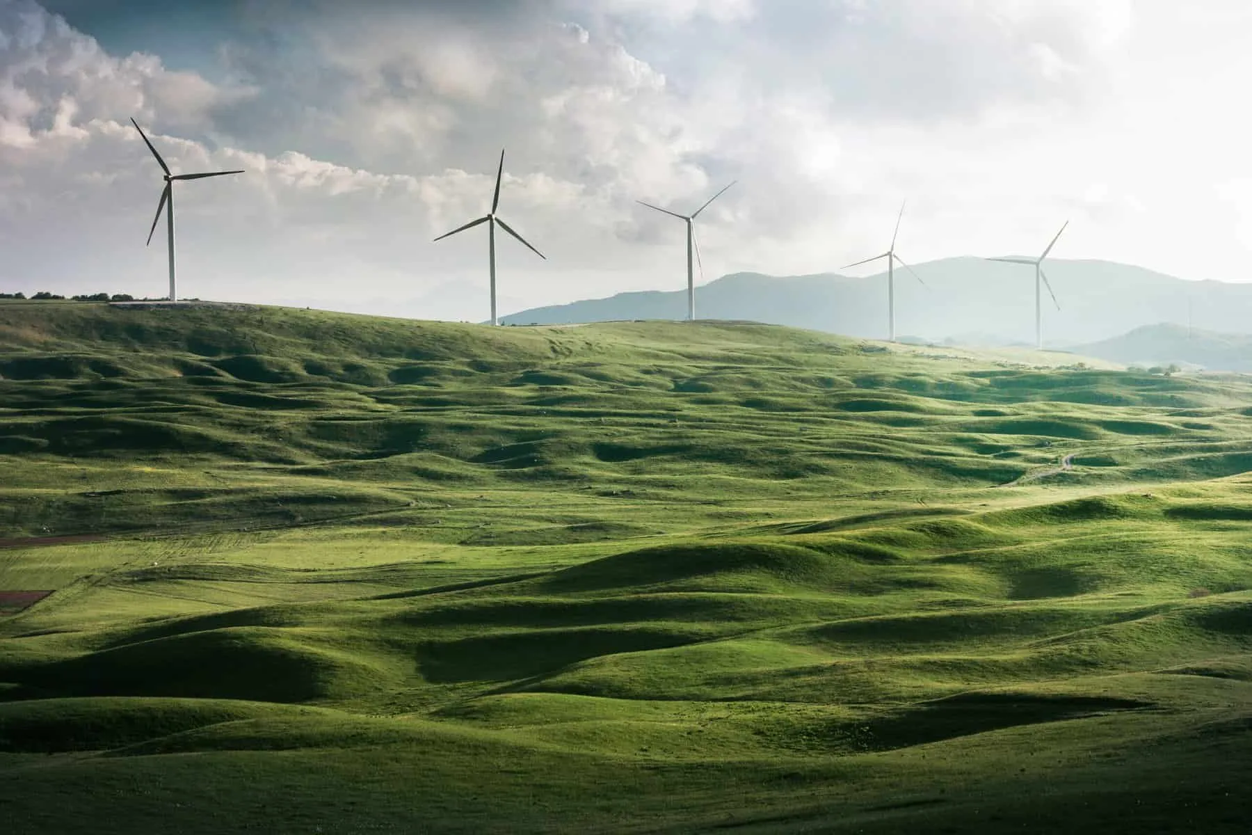 Are There Eco-friendly And Sustainable Materials Used In Basketball Nets?