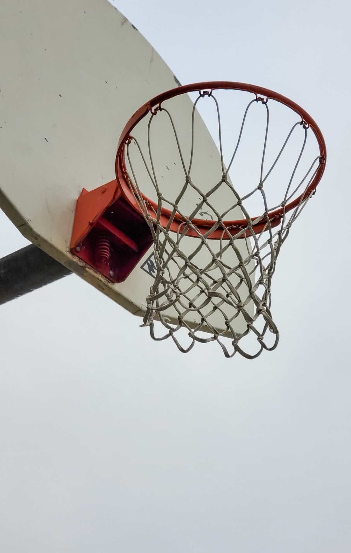 Check Out the NBA Basketball Standings Check Out the NBA Basketball Standings