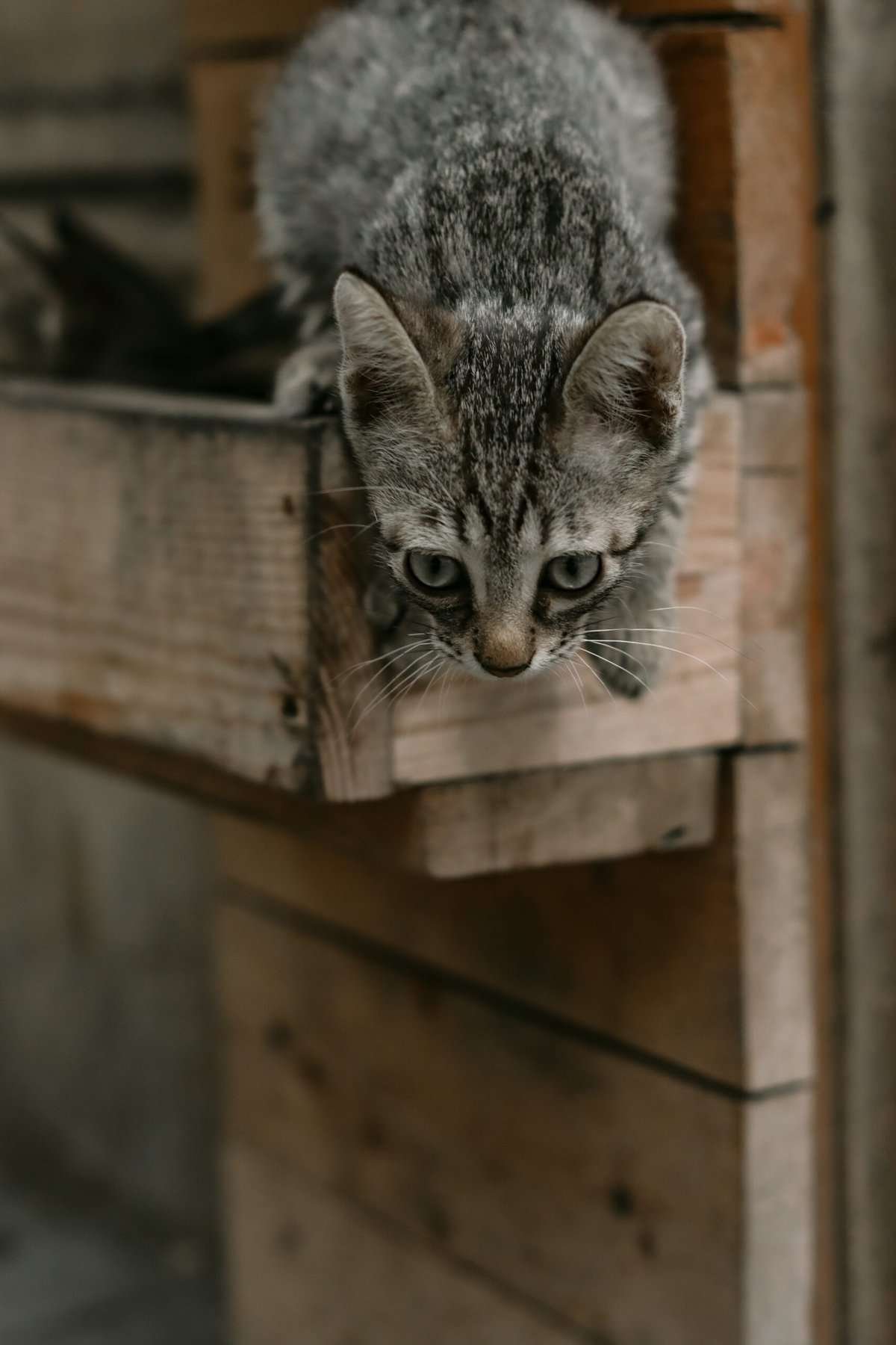 How Does The Backboard Material Impact The Quality Of Play?