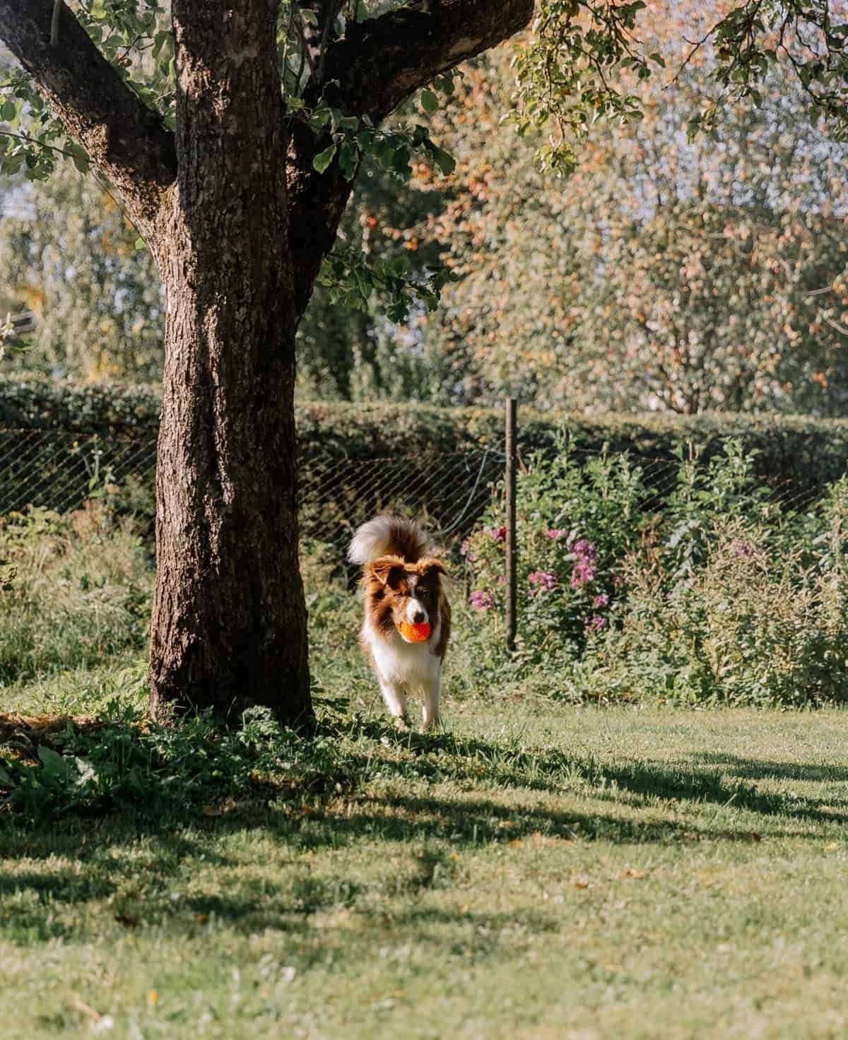 How Does The Backboard Material Impact The Quality Of Play?
