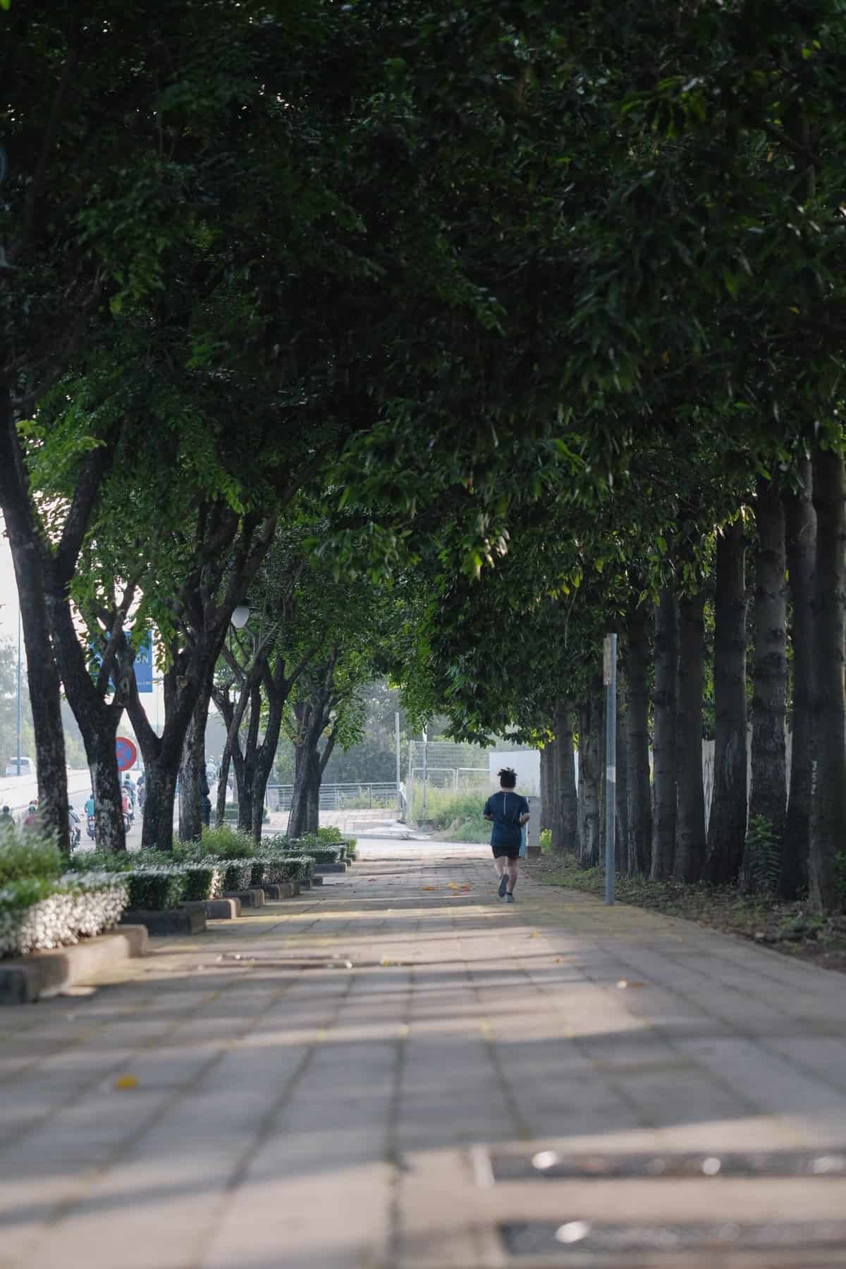 How Has Research On Impact Resistance Influenced Rim And Backboard Design?