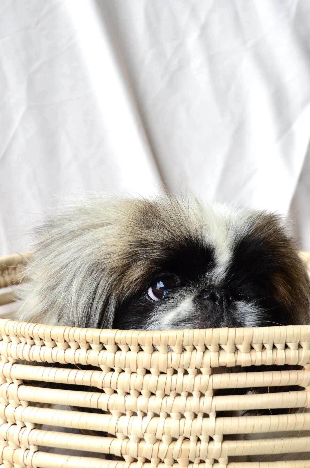 What Are Some Advanced Techniques For Cutting To The Basket?