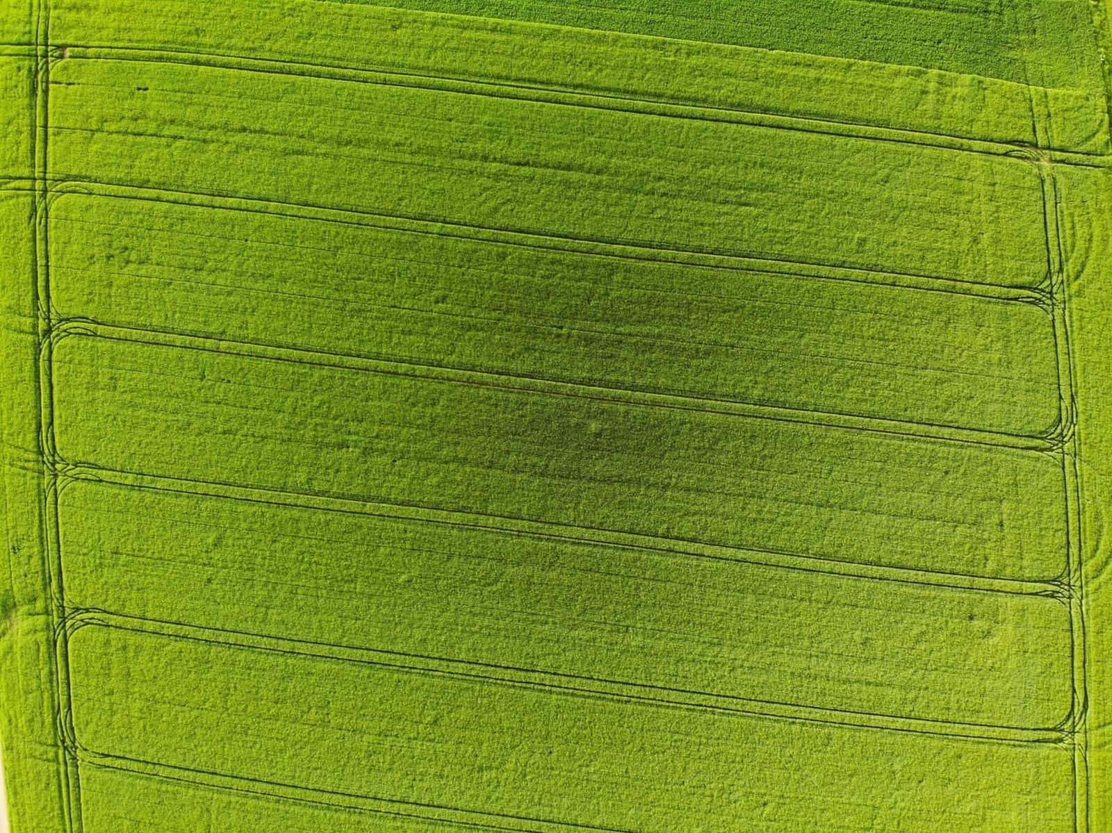 Jalen Green: The Difference-Maker for the Rockets