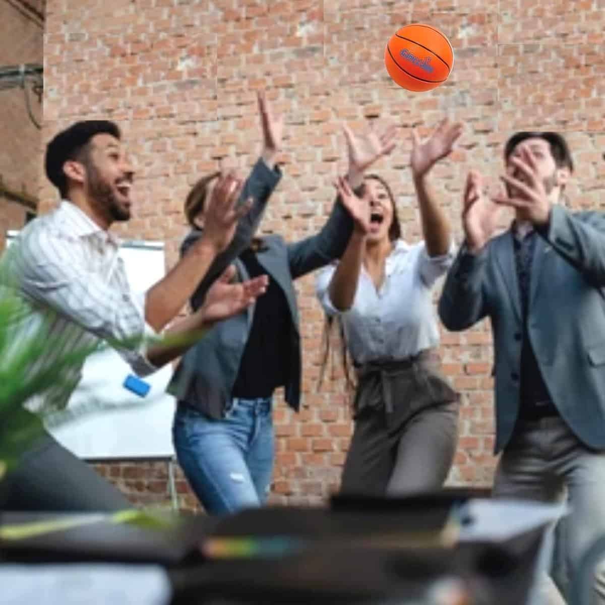 Mini Basketball Hoop for Door Review