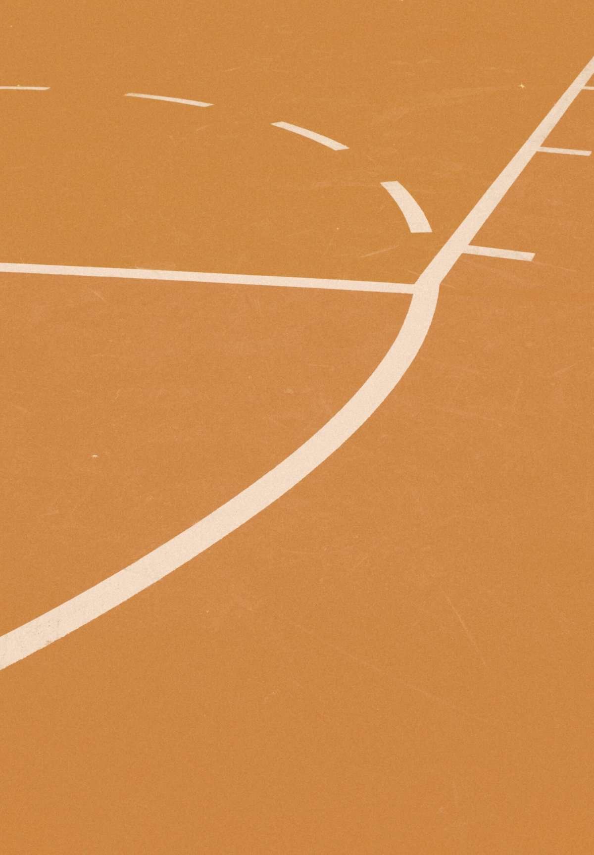 What Are The Different Types Of Basketballs Used In Professional Leagues?