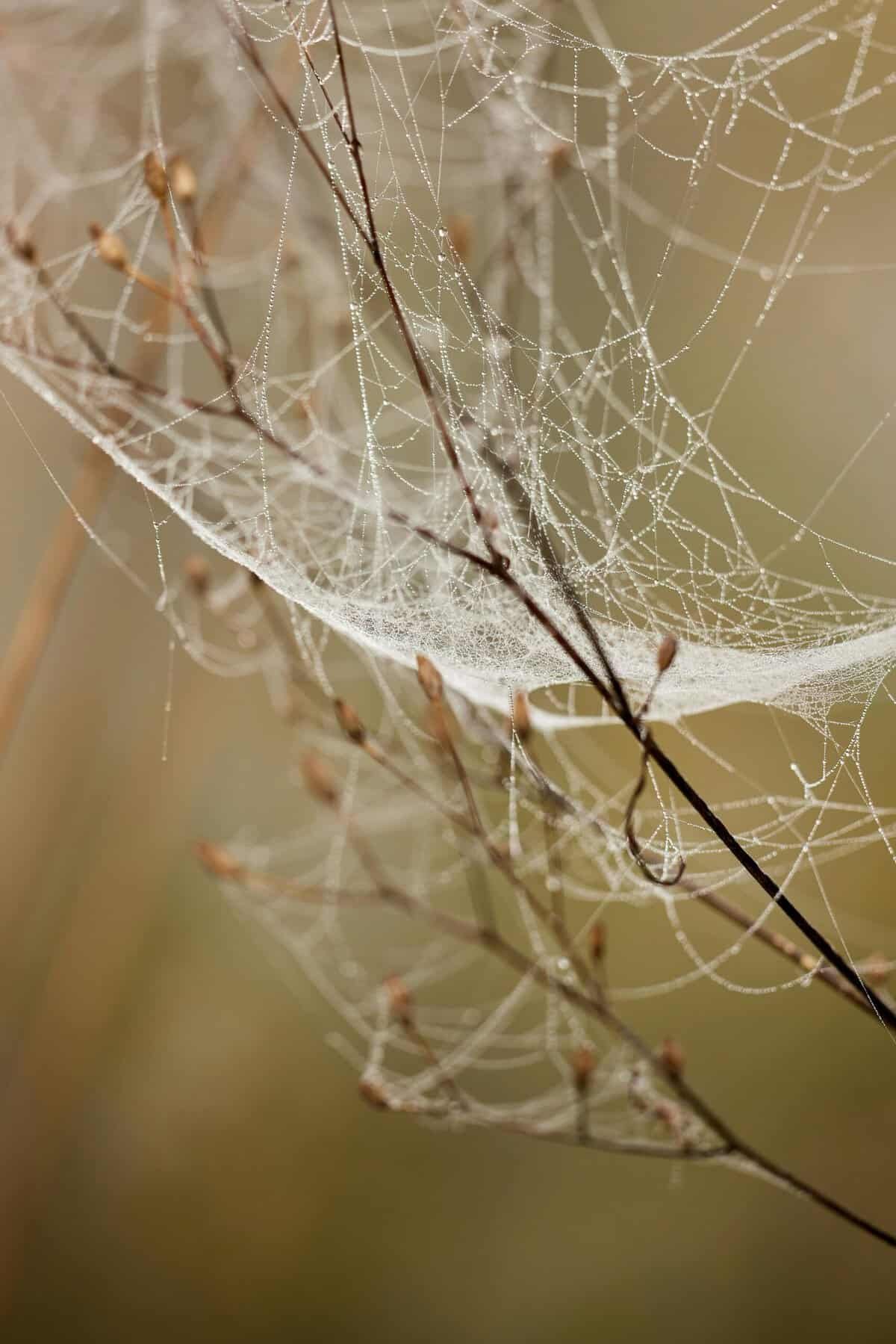 What Are The Top Recommendations For Basketballs For Outdoor Play? What Are The Top Recommendations For Basketballs For Outdoor Play?