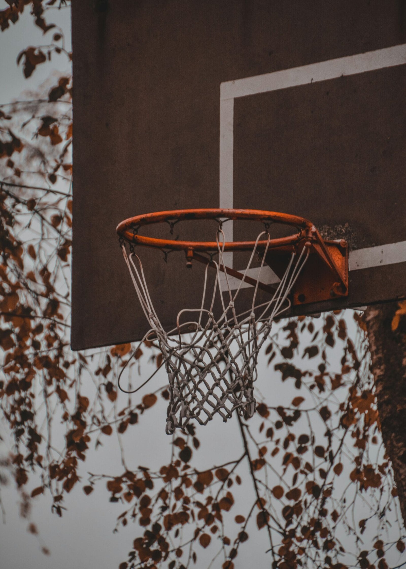 Are There Basketballs Designed Specifically For Training Purposes? Are There Basketballs Designed Specifically For Training Purposes?