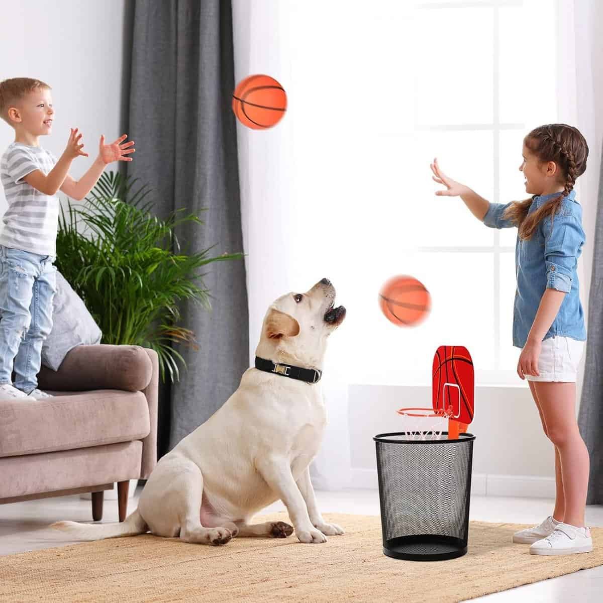 Honoson 3 Sets Indoor Trash Can Basketball Game Set Review