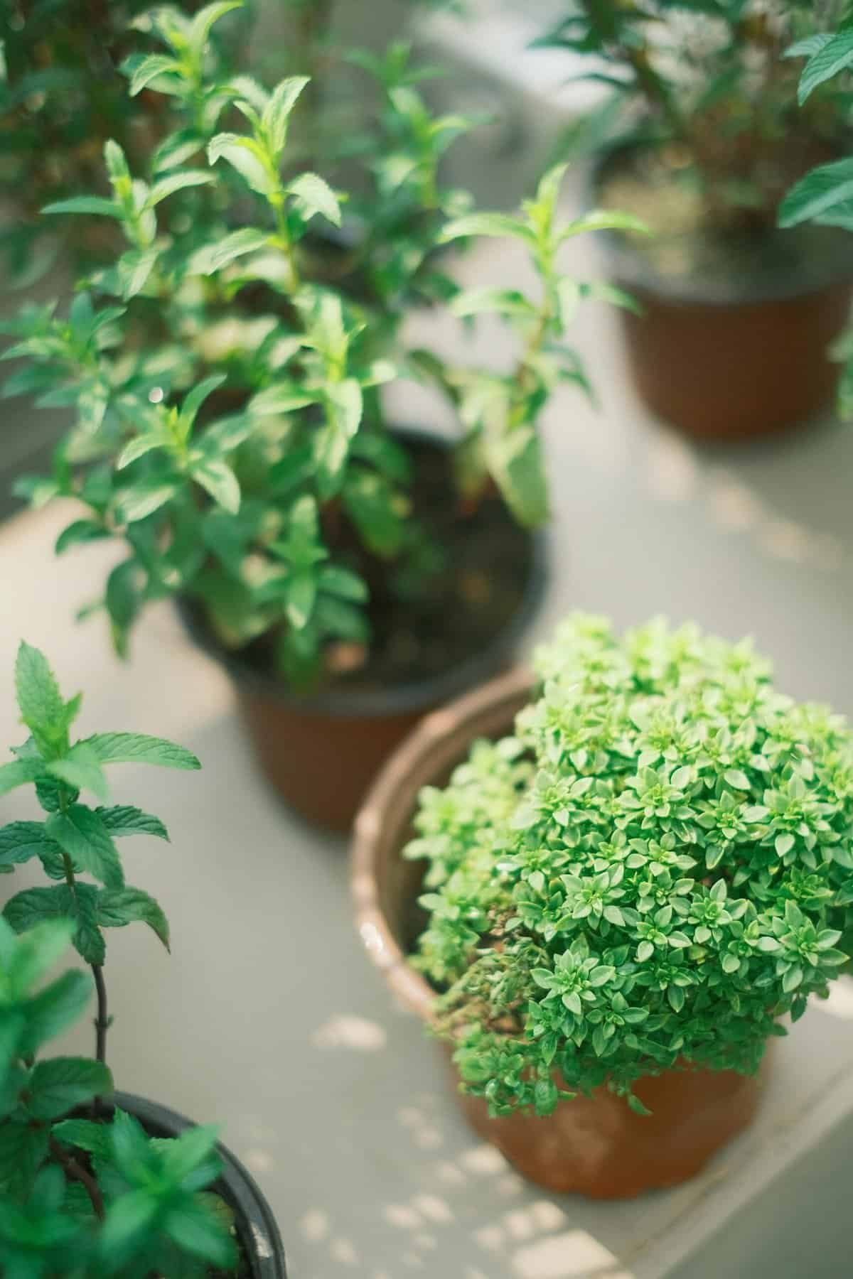 What Are The Best Practices For Cleaning And Maintaining Basketballs? What Are The Best Practices For Cleaning And Maintaining Basketballs?