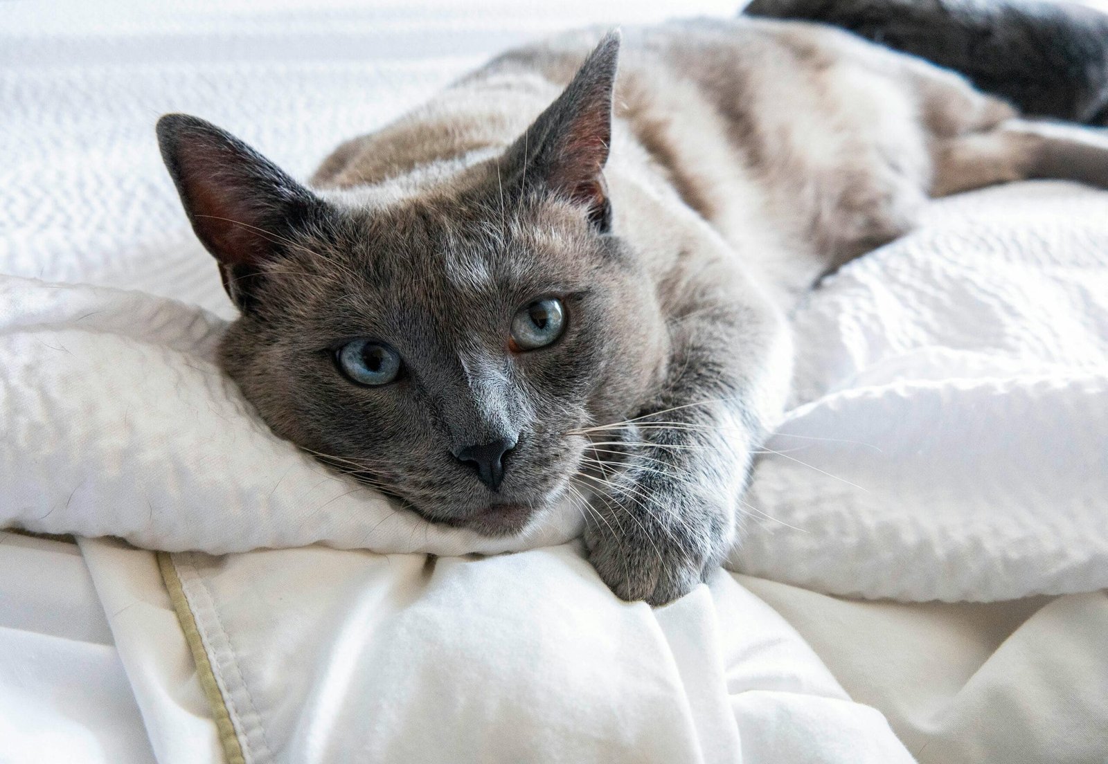 What Are The Best Practices For Cleaning And Maintaining Basketballs? What Are The Best Practices For Cleaning And Maintaining Basketballs?