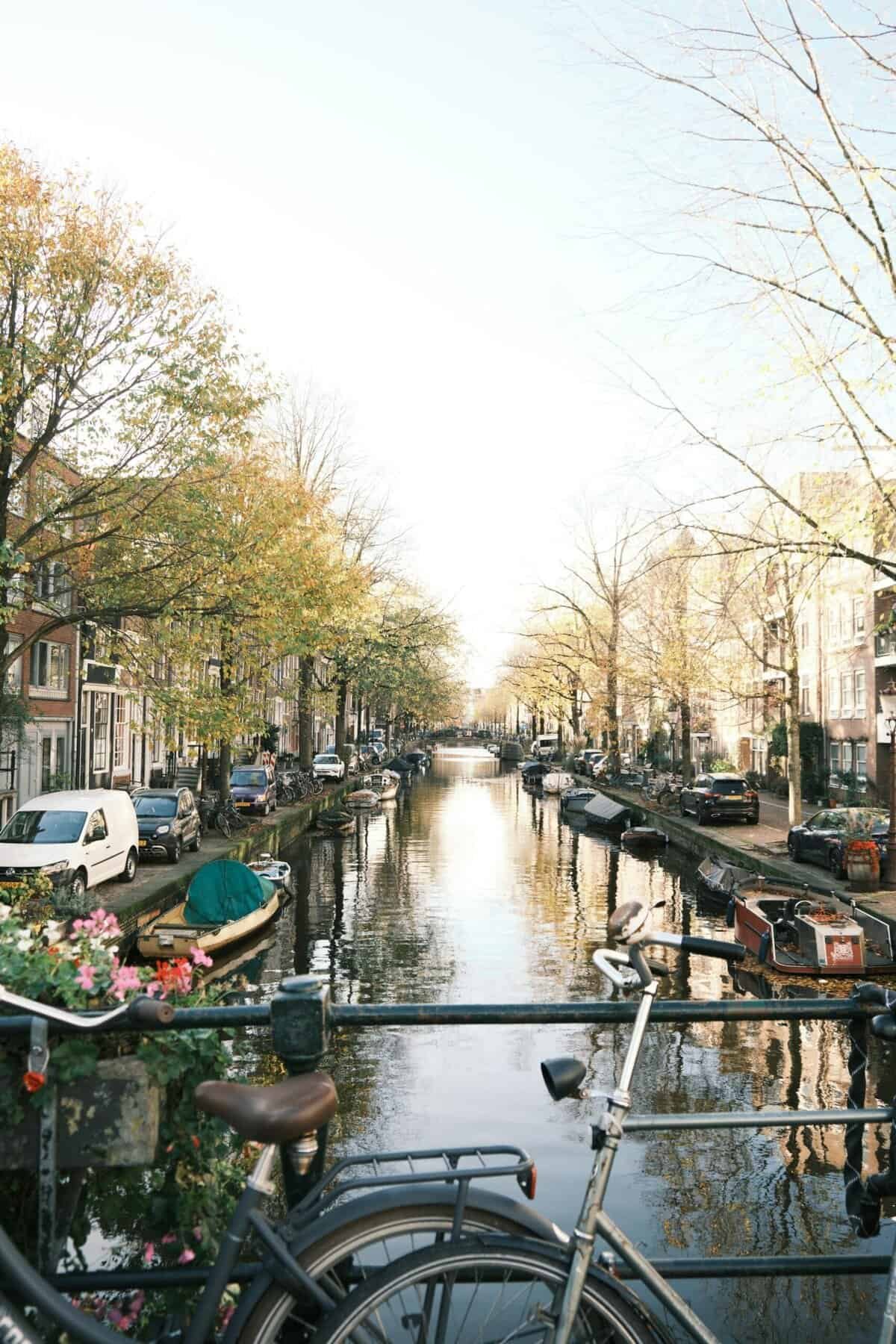 Devin Bookers Preseason Workout Routine Revealed