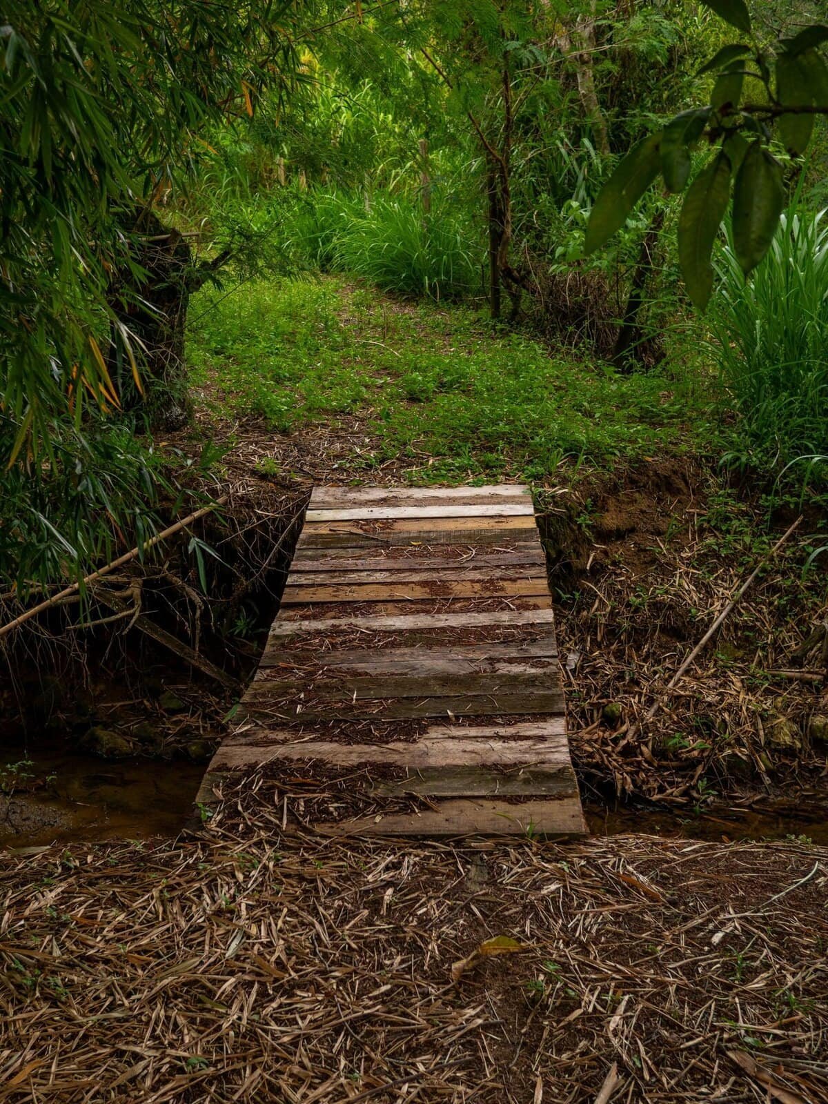 How Do Synthetic Basketballs Compare To Natural Leather Ones In Terms Of Performance?