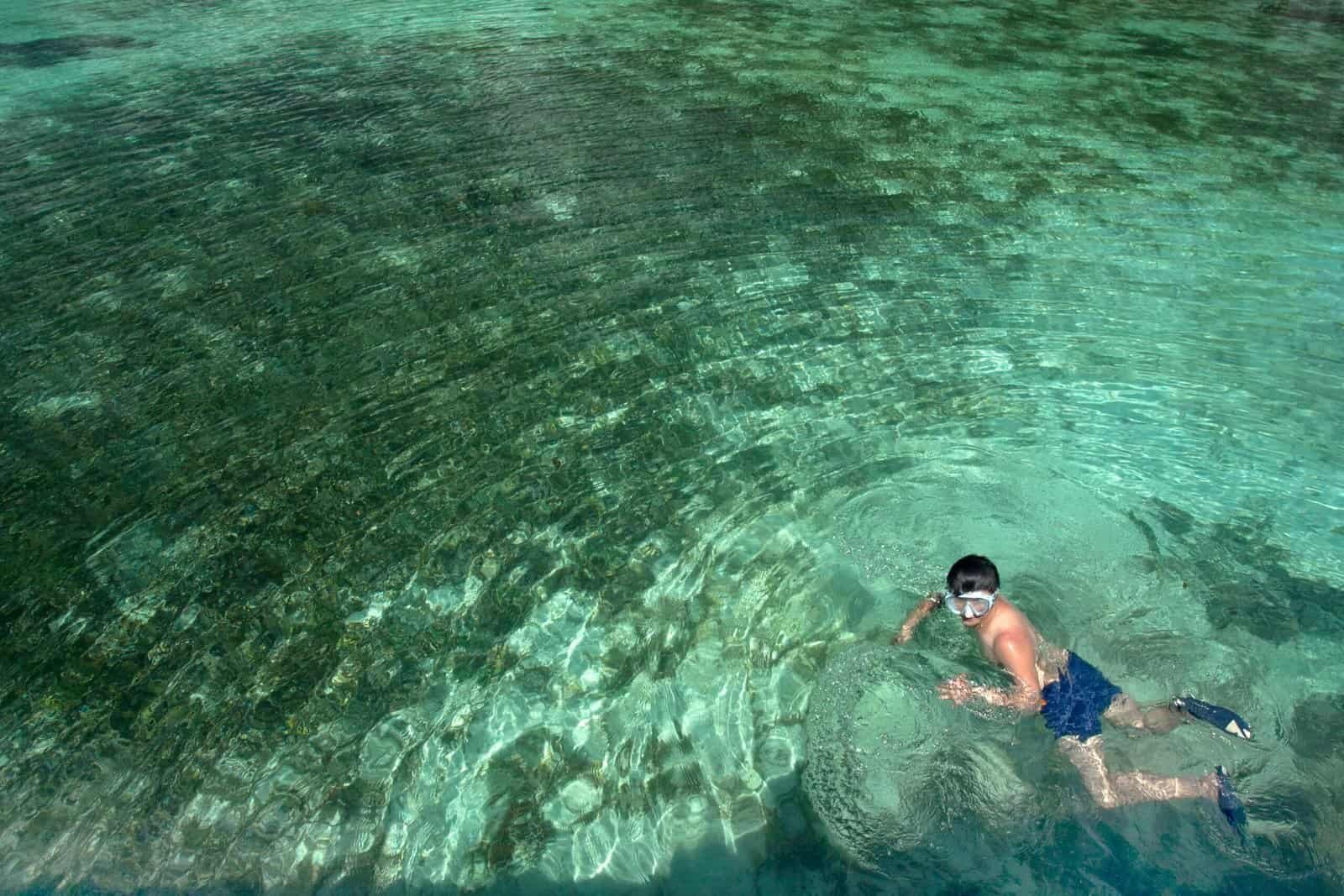 Trae Youngs Inspirational Journey to NBA Stardom