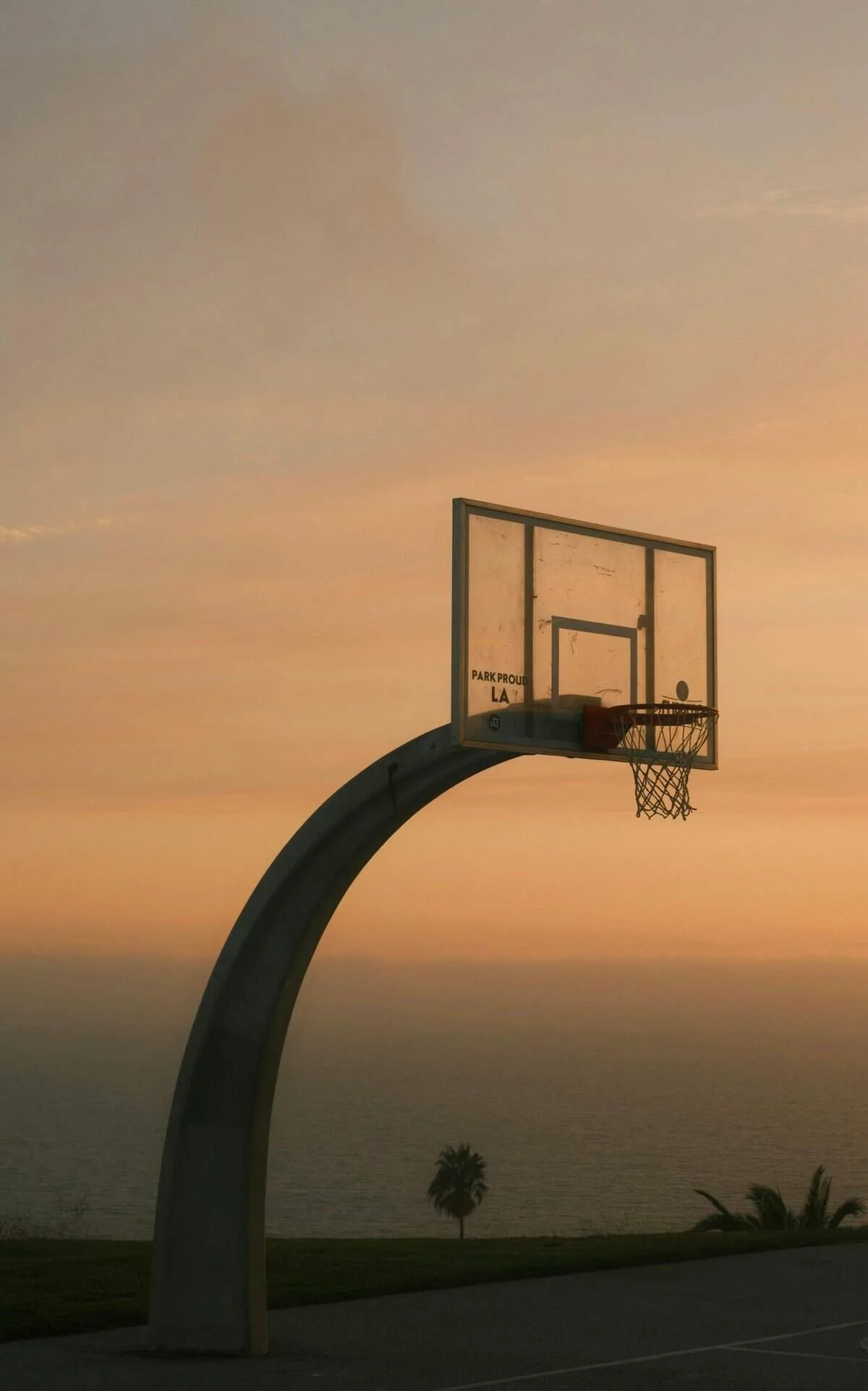 What Are The Advantages Of Using A Basketball With A High-visibility Color?
