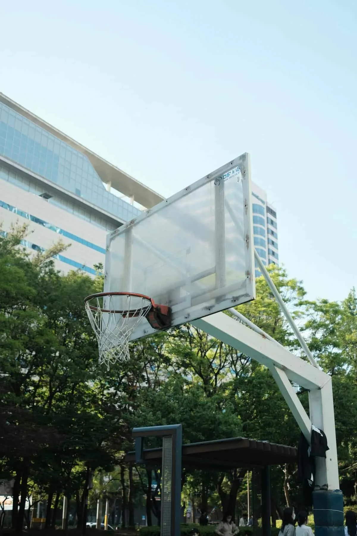 What Are The Advantages Of Using A Basketball With A High-visibility Color?